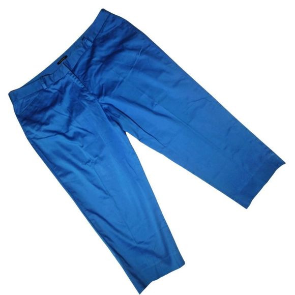 Stretch Capris Jones New York Signature Woman Blue 18W Excellent Condition - Picture 1 of 5